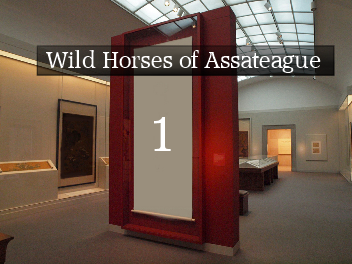 Wild Horses of Assateague